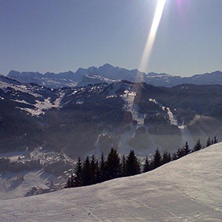 Les Gets Le Grand Paradis المظهر الخارجي الصورة